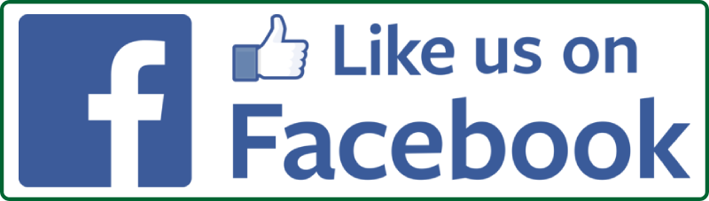 facebook follow button